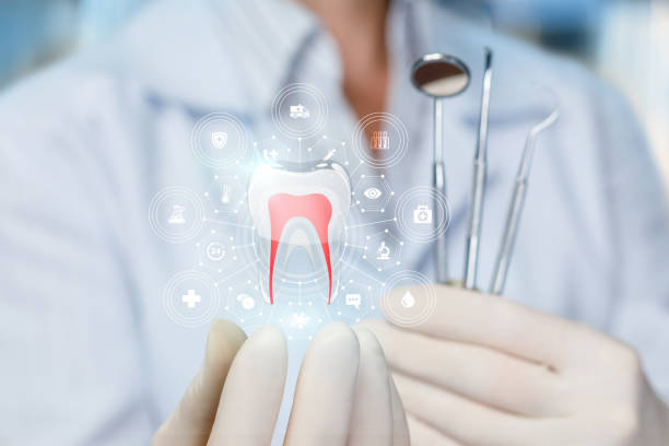 Why Choose Us for Your Dental Needs in Three Lakes, FL